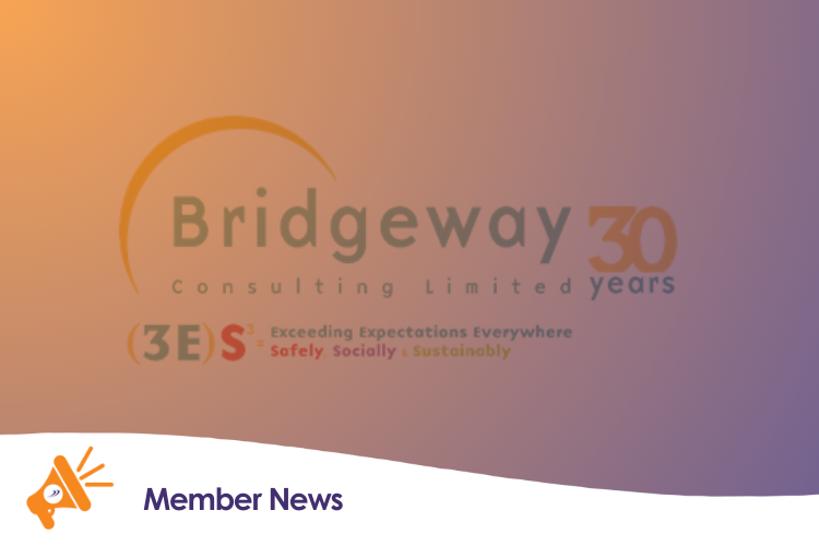 Bridgeway Consulting Limited Celebrates 30 Years of Rail Industry Excellence