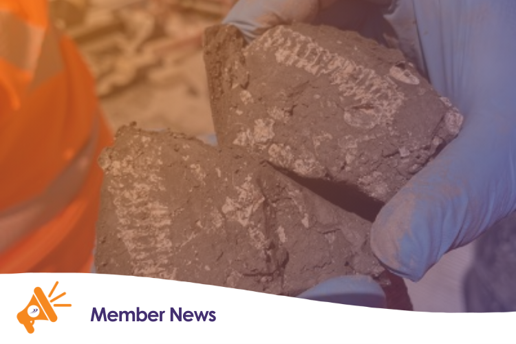 Jurassic fossils unearthed during East West Rail ground investigations