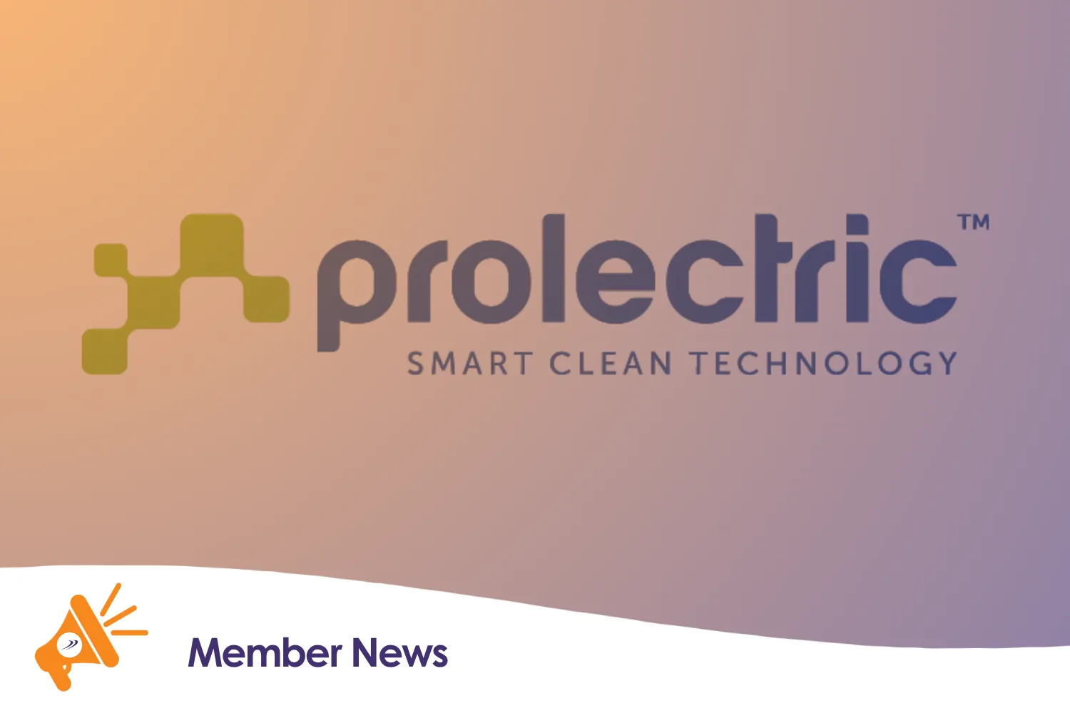 The Prolectric logo