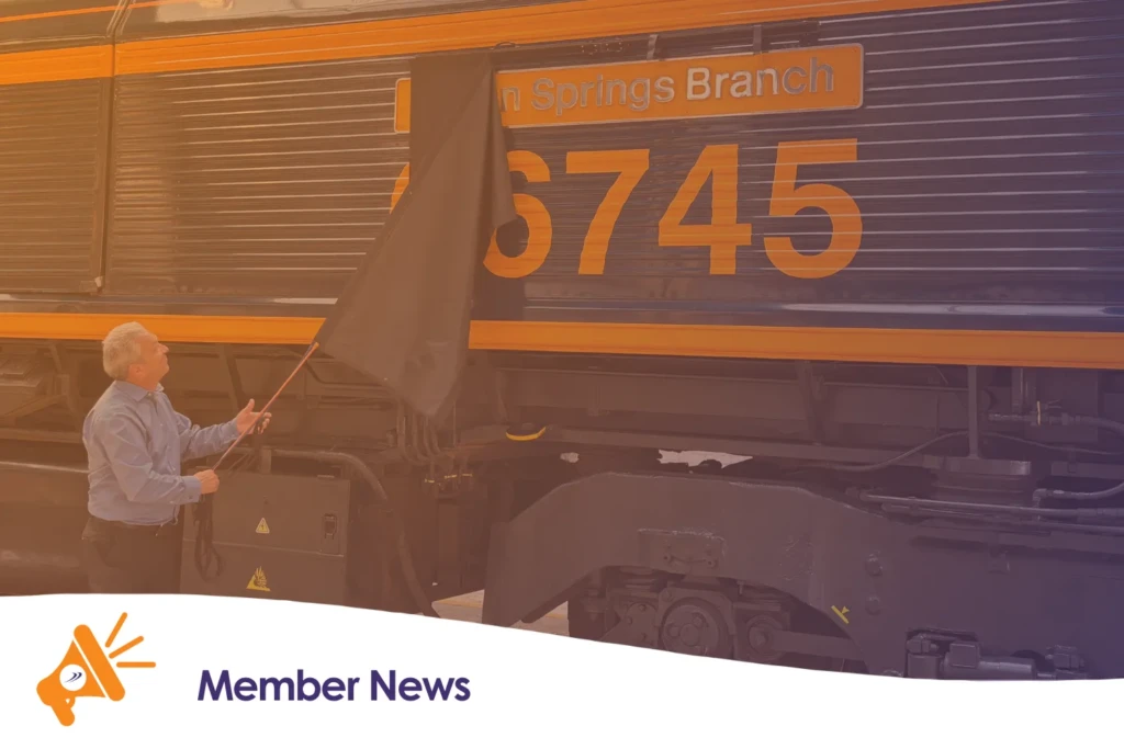 Someone revealing a train